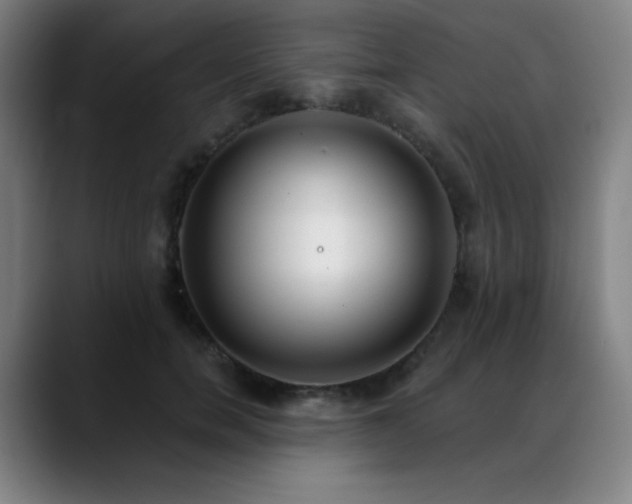 X0000089420750200706151250