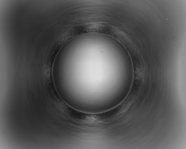 X0000089420753200706151250
