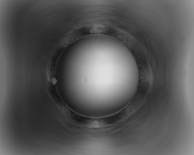 X0000089420755200706151250