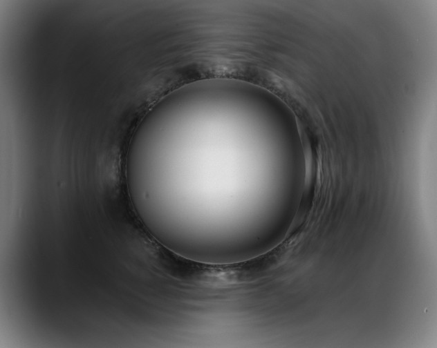 X0000089420760200706151250