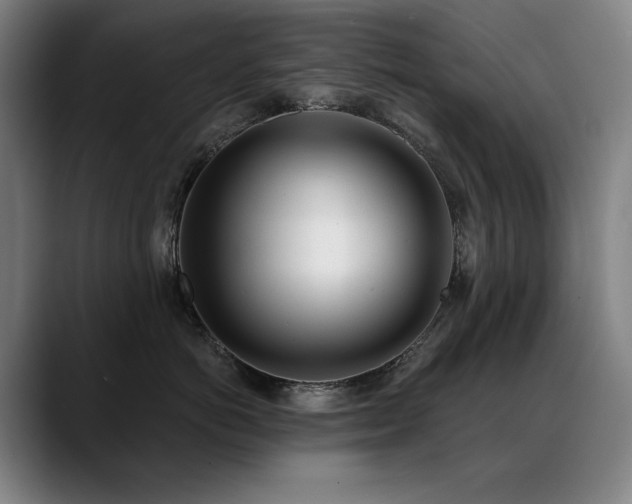 X0000089420766200706151250