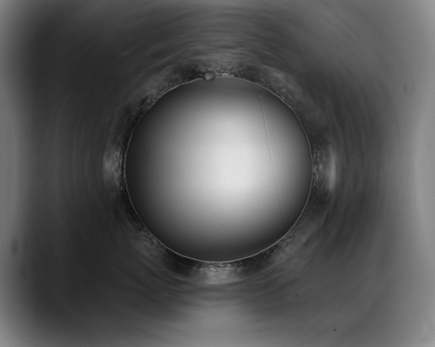 X0000089420767200706151250
