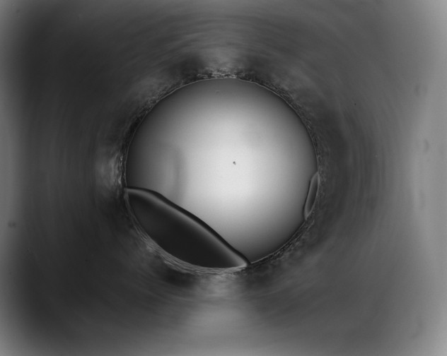 X0000089420768200706151250