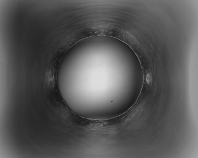 X0000089420771200706151250
