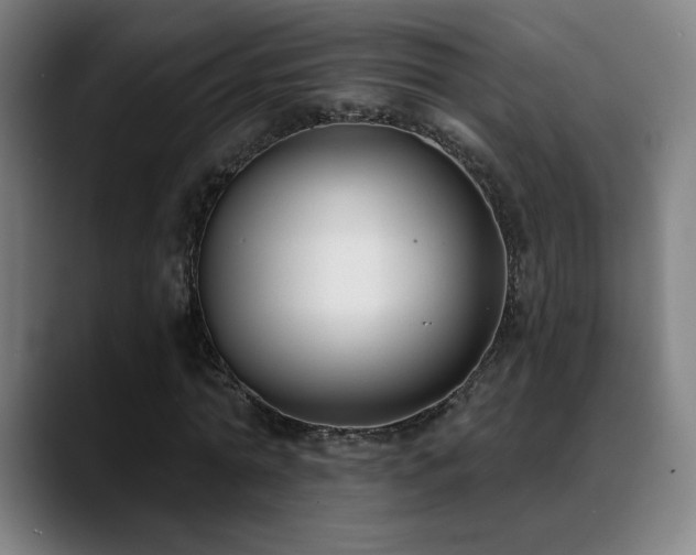 X0000089420774200706151250