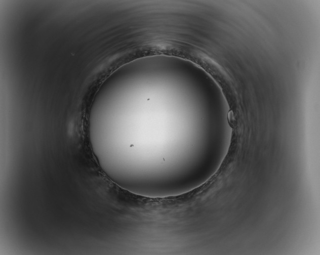 X0000089420776200706151250