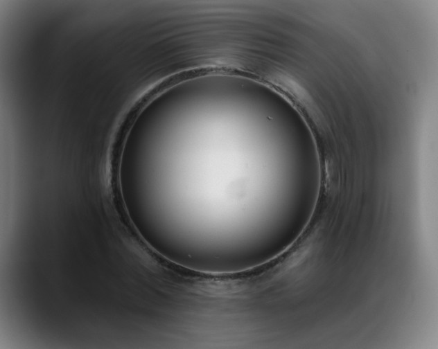 X0000089420780200706151250