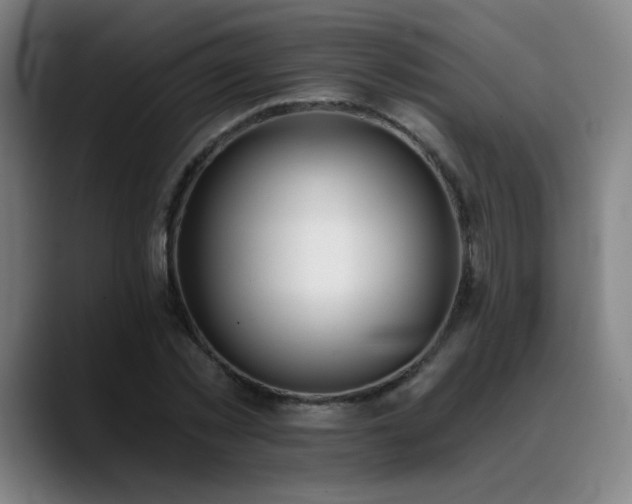 X0000089420781200706151250