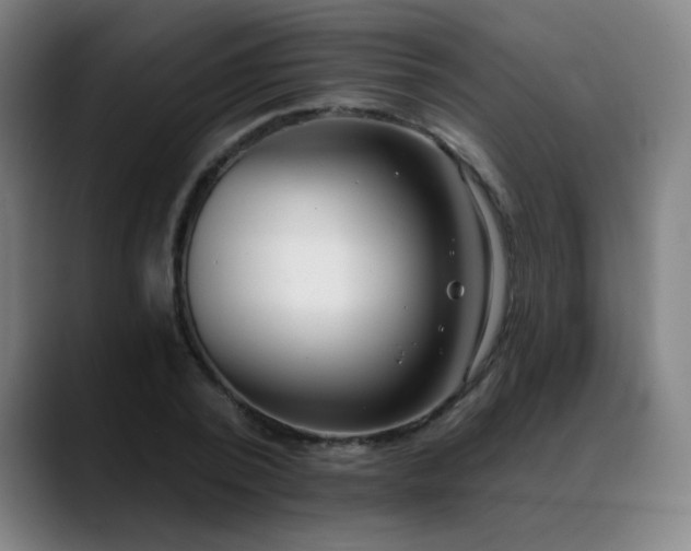 X0000089420784200706151250