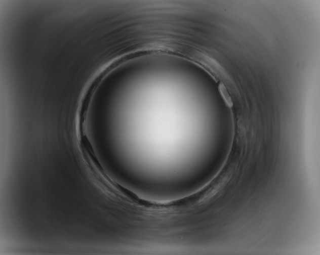 X0000089420788200706151250
