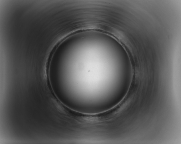 X0000089420789200706151250
