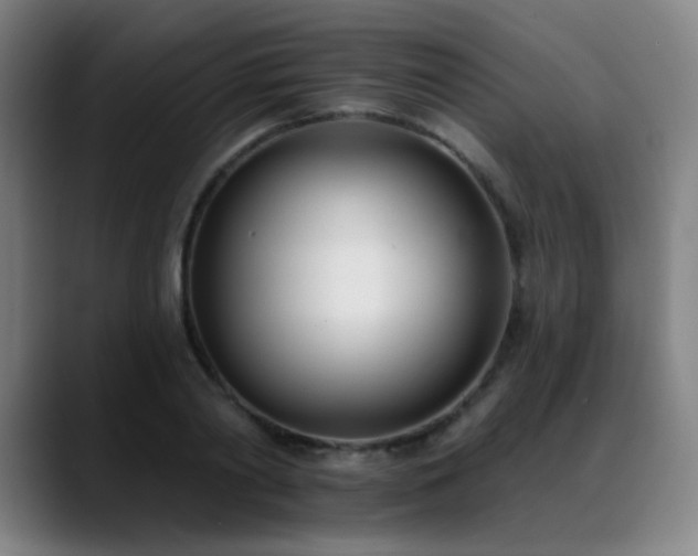 X0000089420790200706151250