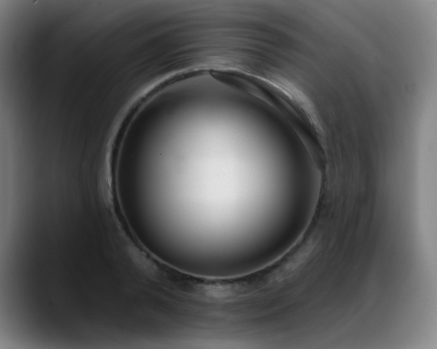 X0000089420792200706151250