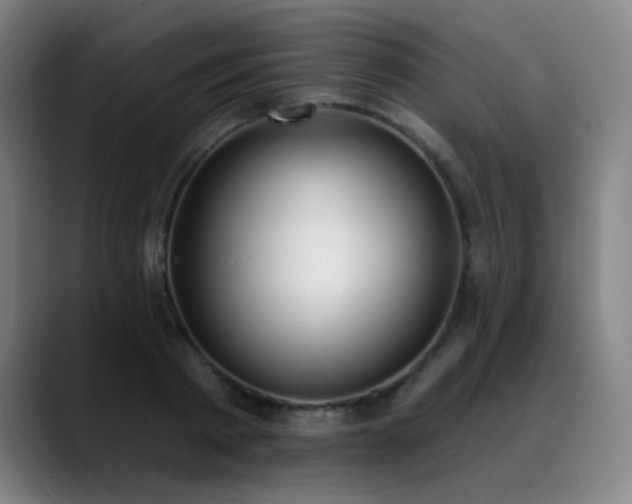 X0000089420793200706151250