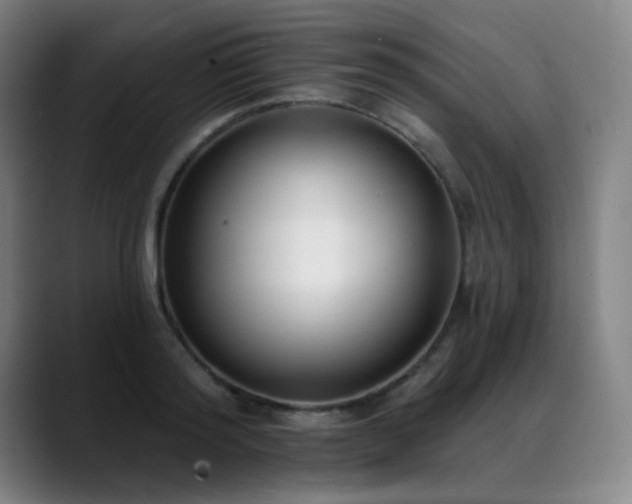 X0000089420796200706151250