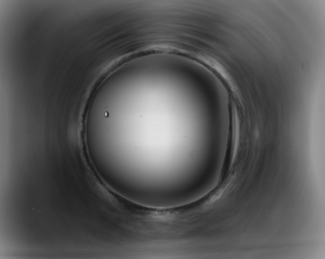 X0000089420799200706151249