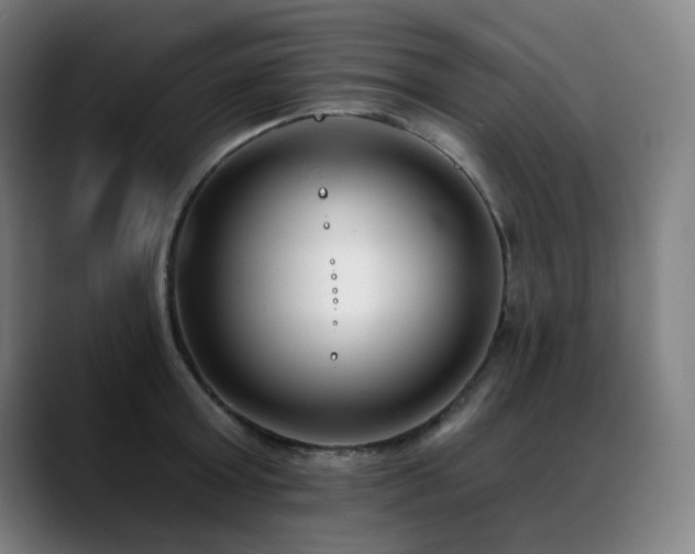 X0000089420803200706151249