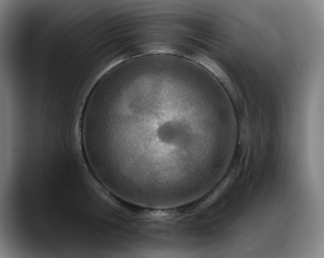 X0000089420806200706151249