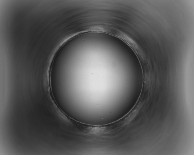 X0000089420808200706151249