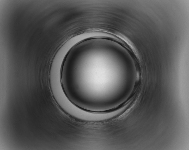 X0000089420809200706151249