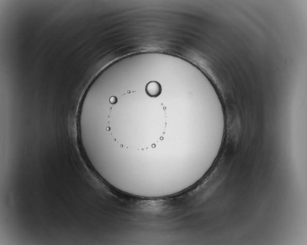 X0000089420810200706151249
