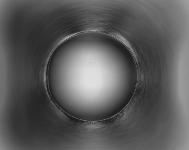 X0000089420811200706151249