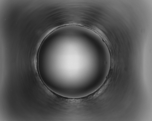 X0000089420812200706151249