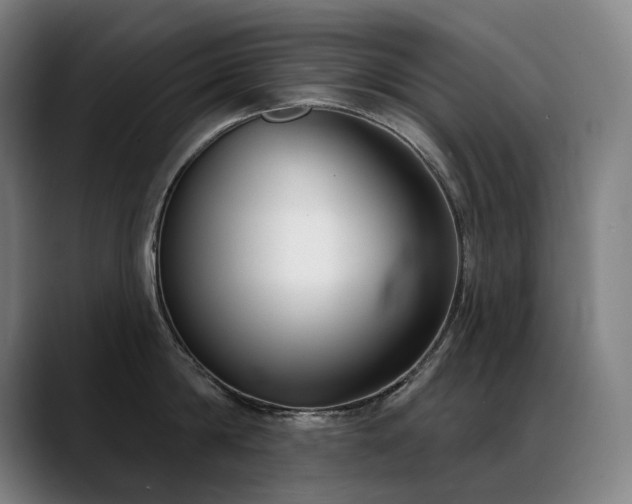 X0000089420814200706151249