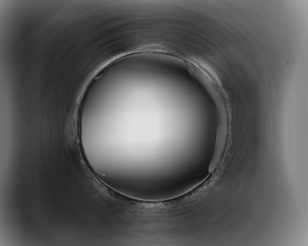 X0000089420816200706151249