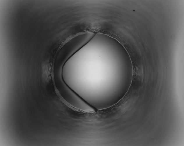 X0000089420818200706151249