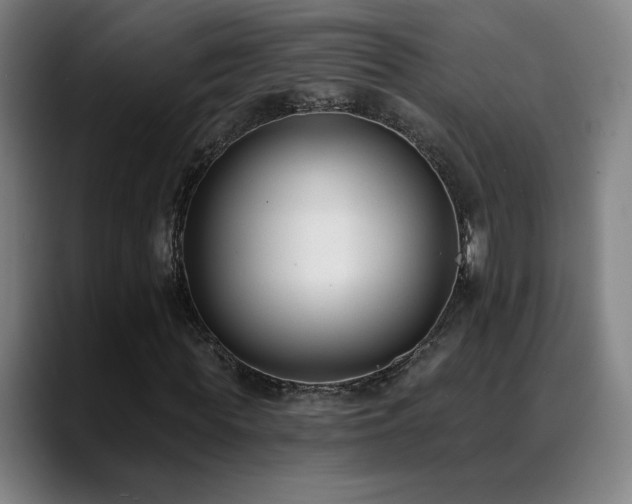 X0000089420819200706151249