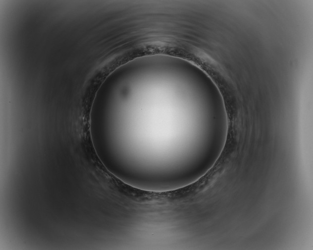 X0000089420822200706151249