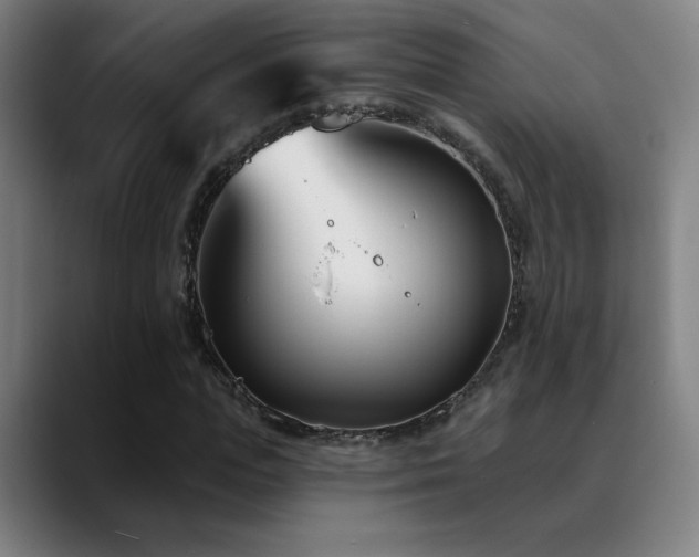 X0000089420823200706151249