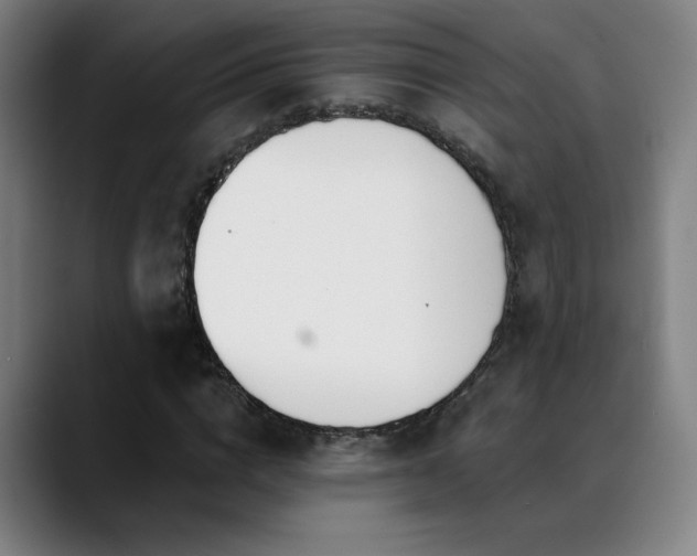 X0000089420824200706151249