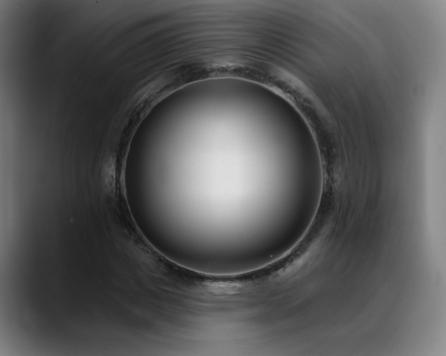 X0000089420825200706151249