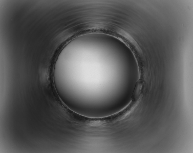 X0000089420826200706151249
