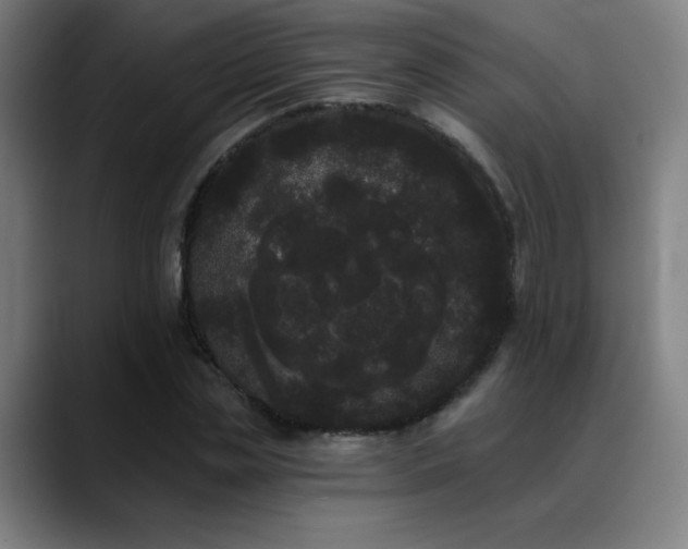 X0000089420829200706151249