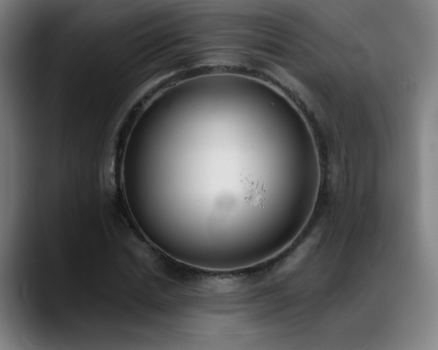 X0000089420830200706151249