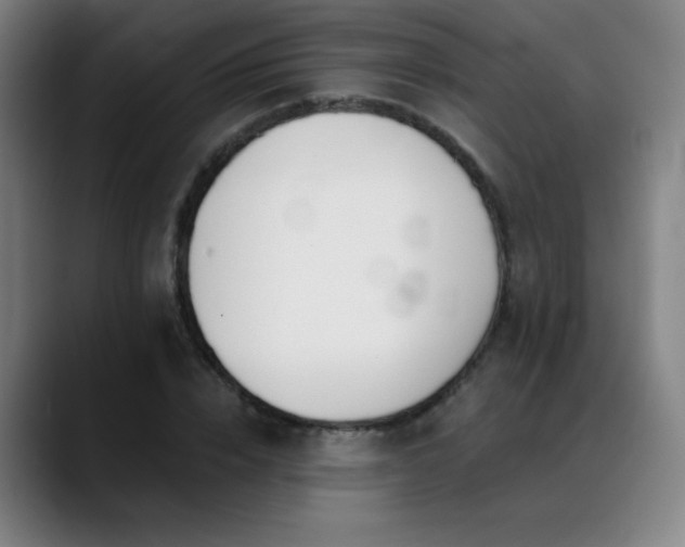 X0000089420832200706151249