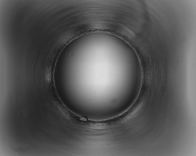 X0000089420833200706151249