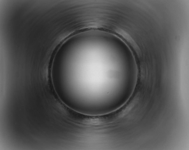 X0000089420834200706151249