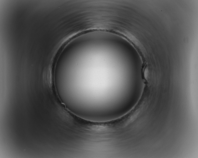 X0000089420838200706151249