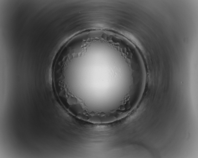X0000089420839200706151249