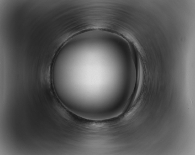 X0000089420842200706151249