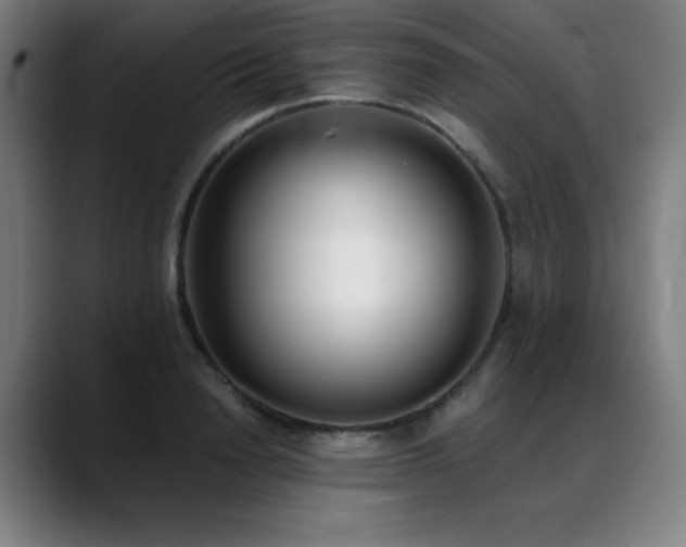X0000089420846200706151249