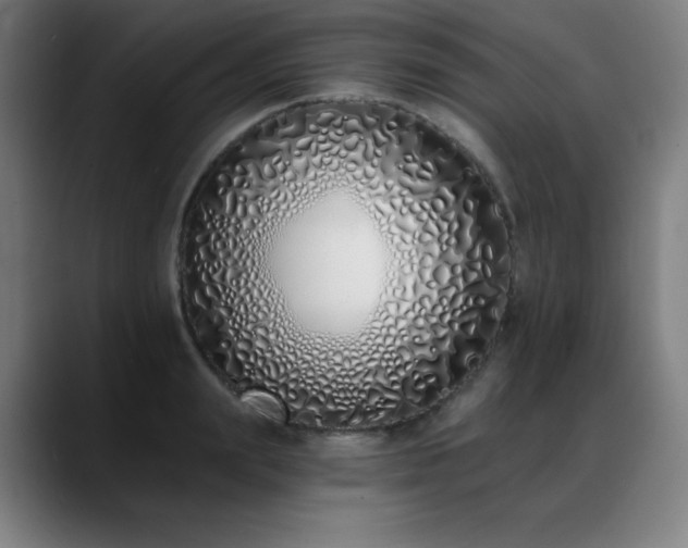 X0000089420847200706151249