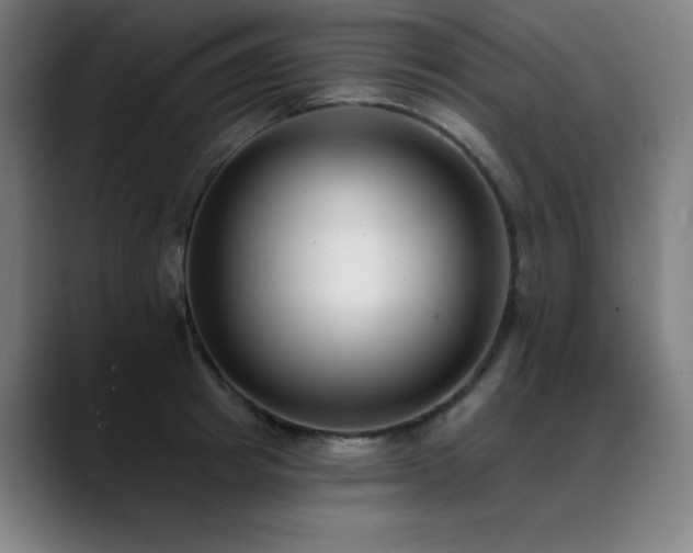 X0000089420849200706151249