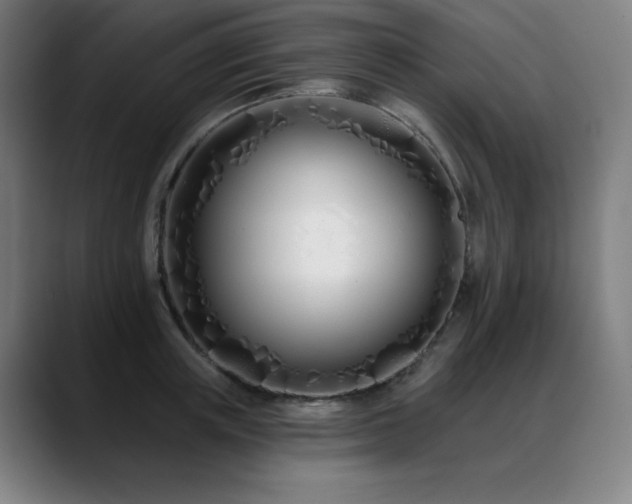 X0000089420851200706151249