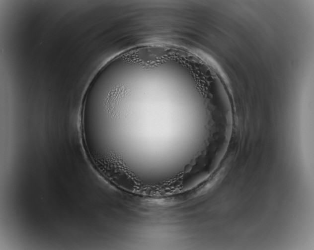 X0000089420855200706151249