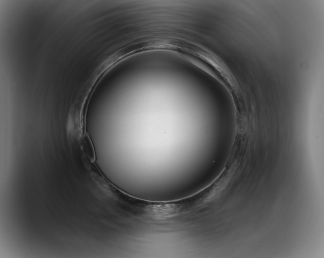 X0000089420858200706151249